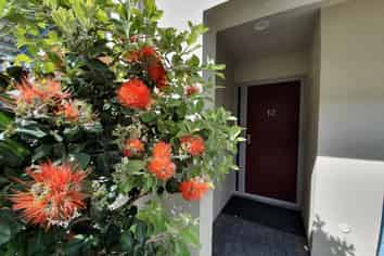 12/414 Ocean Road, Whangamata