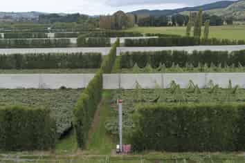 3962 State Highway 2, Raupunga