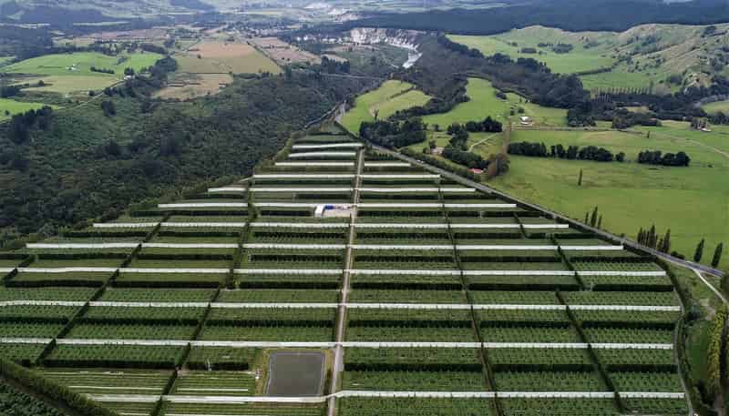 3962 State Highway 2, Raupunga