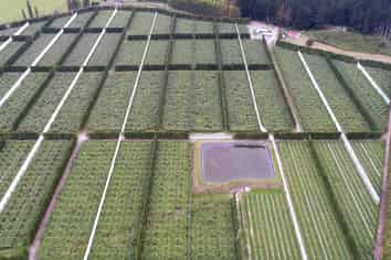 3962 State Highway 2, Raupunga