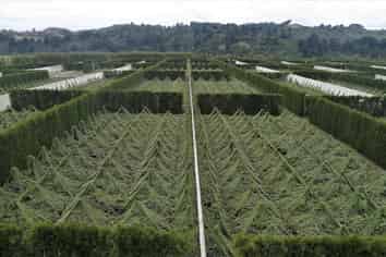 3962 State Highway 2, Raupunga