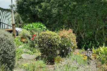 501 Helmsdale Road, Waipu