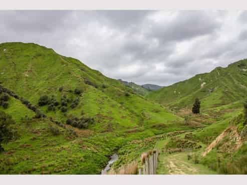 568 Matau North Road, Pohokura and Surrounds