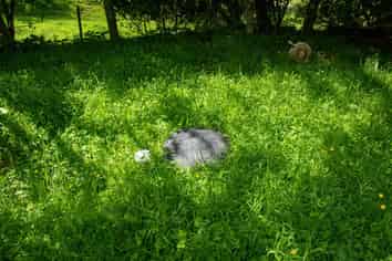 1779 Ohura Road, Stratford