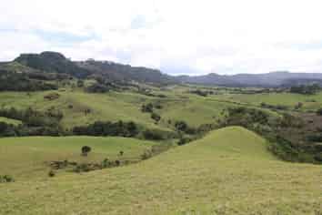  4ha - Totara North Road, Taupo Bay/Totara North