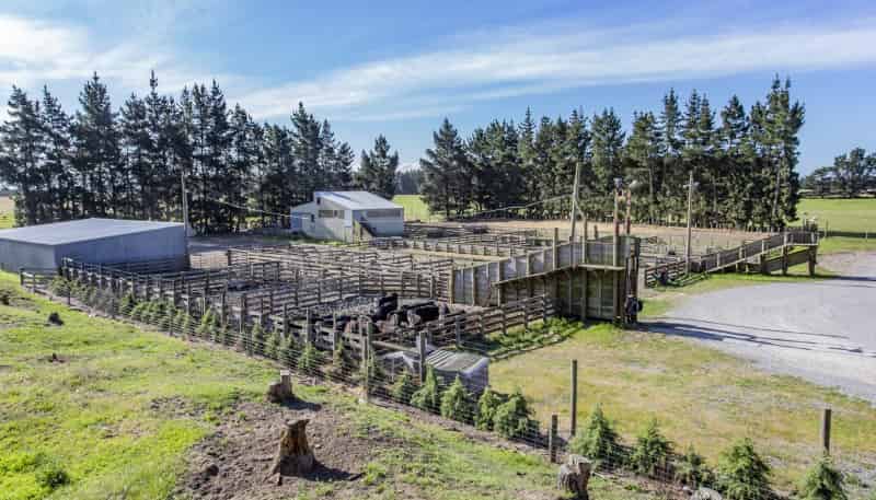 33 Guys Road, Yaldhurst