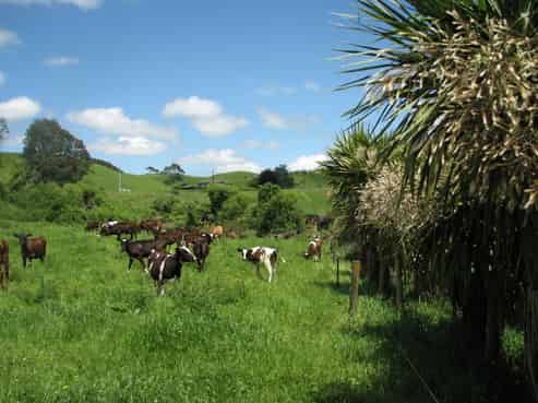  Tapapa West Road, Tirau