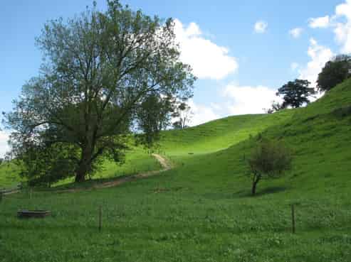  Tapapa West Road, Tirau