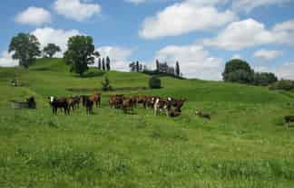  Tapapa West Road, Tirau