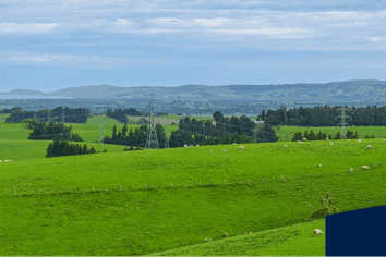 00 Glenflora Downs Subdivision, Hillend and Cameron R, Balclutha