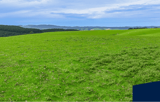 00 Glenflora Downs Subdivision, Hillend and Cameron R, Balclutha