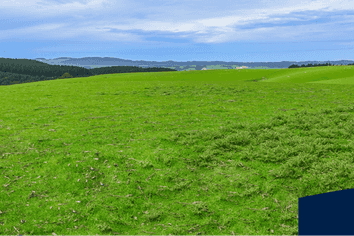 00 Glenflora Downs Subdivision, Hillend and Cameron R, Balclutha