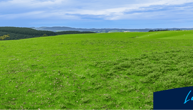 00 Glenflora Downs Subdivision, Hillend and Cameron R, Balclutha