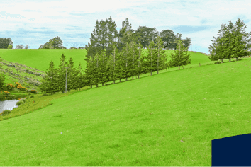 00 Glenflora Downs Subdivision, Hillend and Cameron R, Balclutha