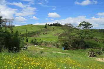 1981 Paparoa Valley Road, Paparoa