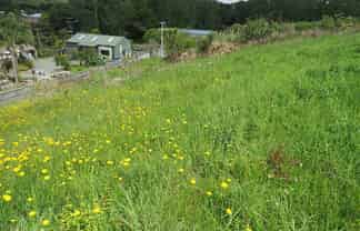 1981 Paparoa Valley Road, Paparoa