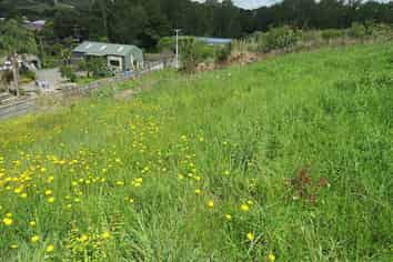 1981 Paparoa Valley Road, Paparoa
