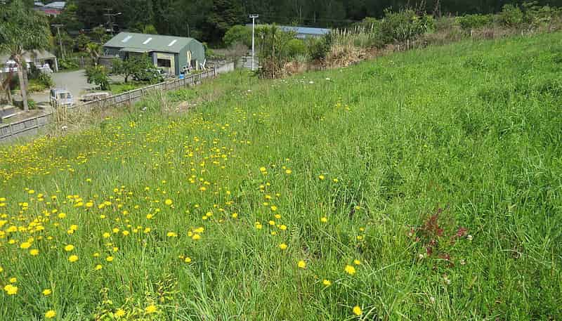 1981 Paparoa Valley Road, Paparoa