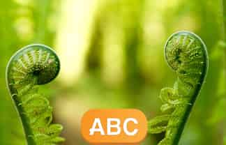 New Lease for 100 Licenced Childcare Centre