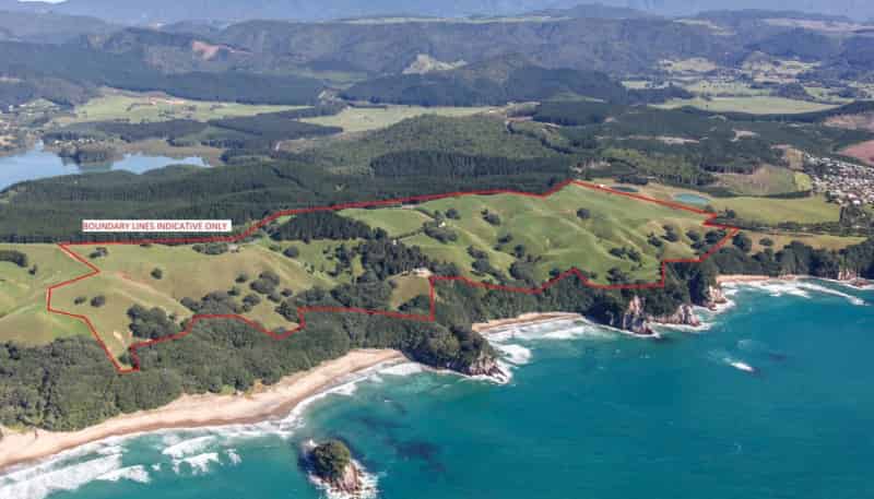 162B Whitipirorua Road, Whangamata