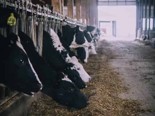 Import, Sales & Installation - $300k EBPIDT