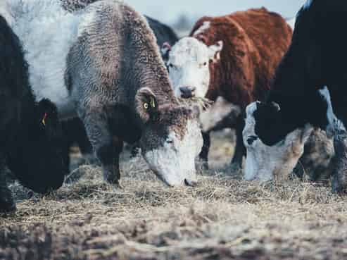 Import, Sales & Installation - $300k EBPIDT