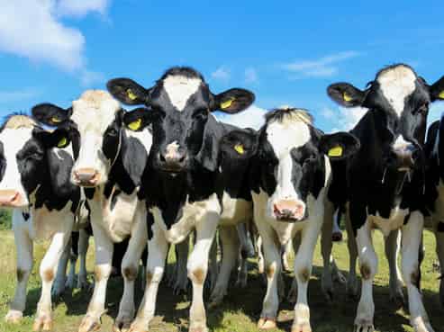 Import, Sales & Installation - $300k EBPIDT