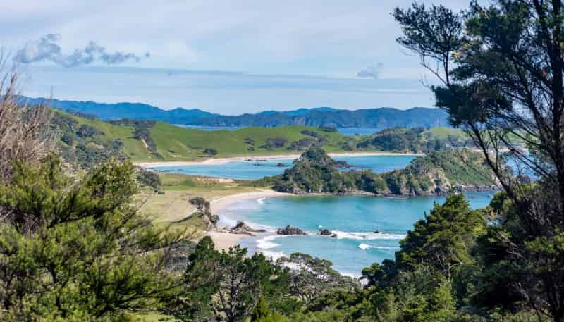 Lot 2, 125 Roimata Lane, Whananaki