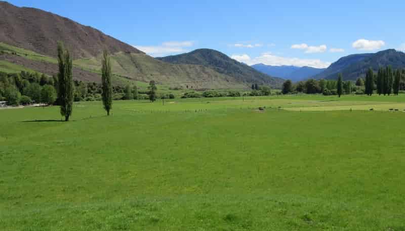 1153 Shenandoah Highway, 