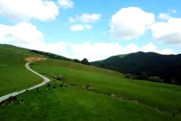 948 Whangaripo Valley Road, Wellsford