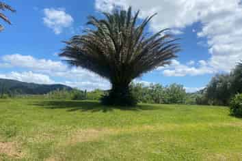 Lot 1/47 Cullen Street, Mangawhai Heads