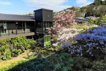 Superb Motel Business For Sale In Dunedin