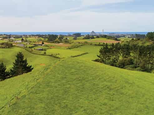 229 Hurford Road, Omata