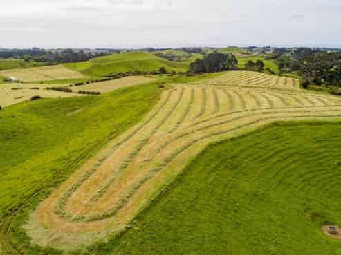 229 Hurford Road, Omata