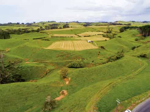 229 Hurford Road, Omata