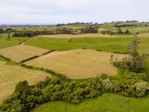 229 Hurford Road, Omata