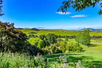 1663 Puketitiri Road, Hastings