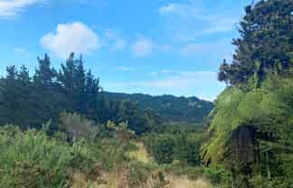 20 Kaponga Lane, Warkworth