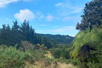 20 Kaponga Lane, Warkworth