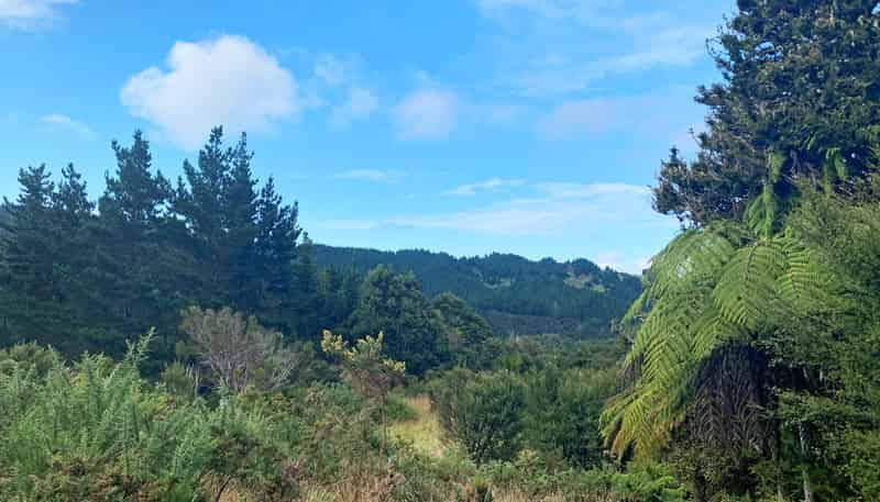 20 Kaponga Lane, Warkworth