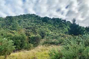 20 Kaponga Lane, Warkworth