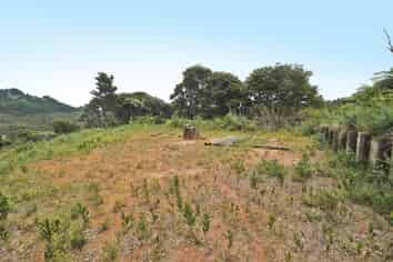 20 Kaponga Lane, Warkworth