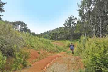 20 Kaponga Lane, Warkworth