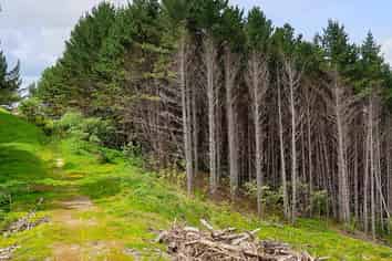 Lot 13/593 Bickerstaffe Road, Maungaturoto