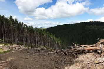 Lot 13/593 Bickerstaffe Road, Maungaturoto