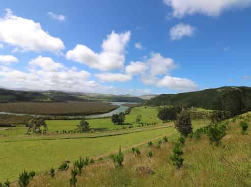 160 Rangikohu Road, Herekino