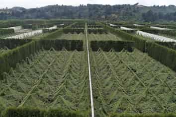 3962 State Highway, Raupunga