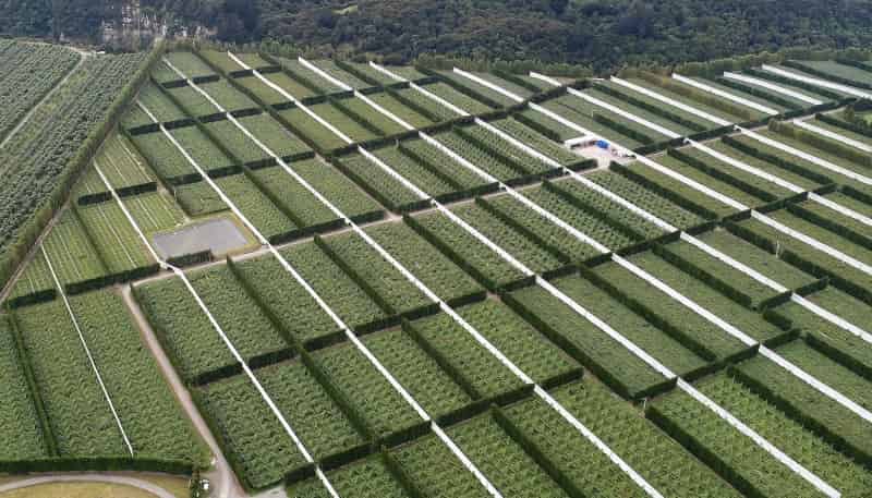 3962 State Highway, Raupunga