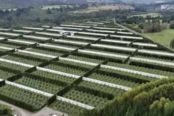 3962 State Highway, Raupunga