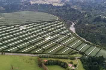 3962 State Highway, Raupunga